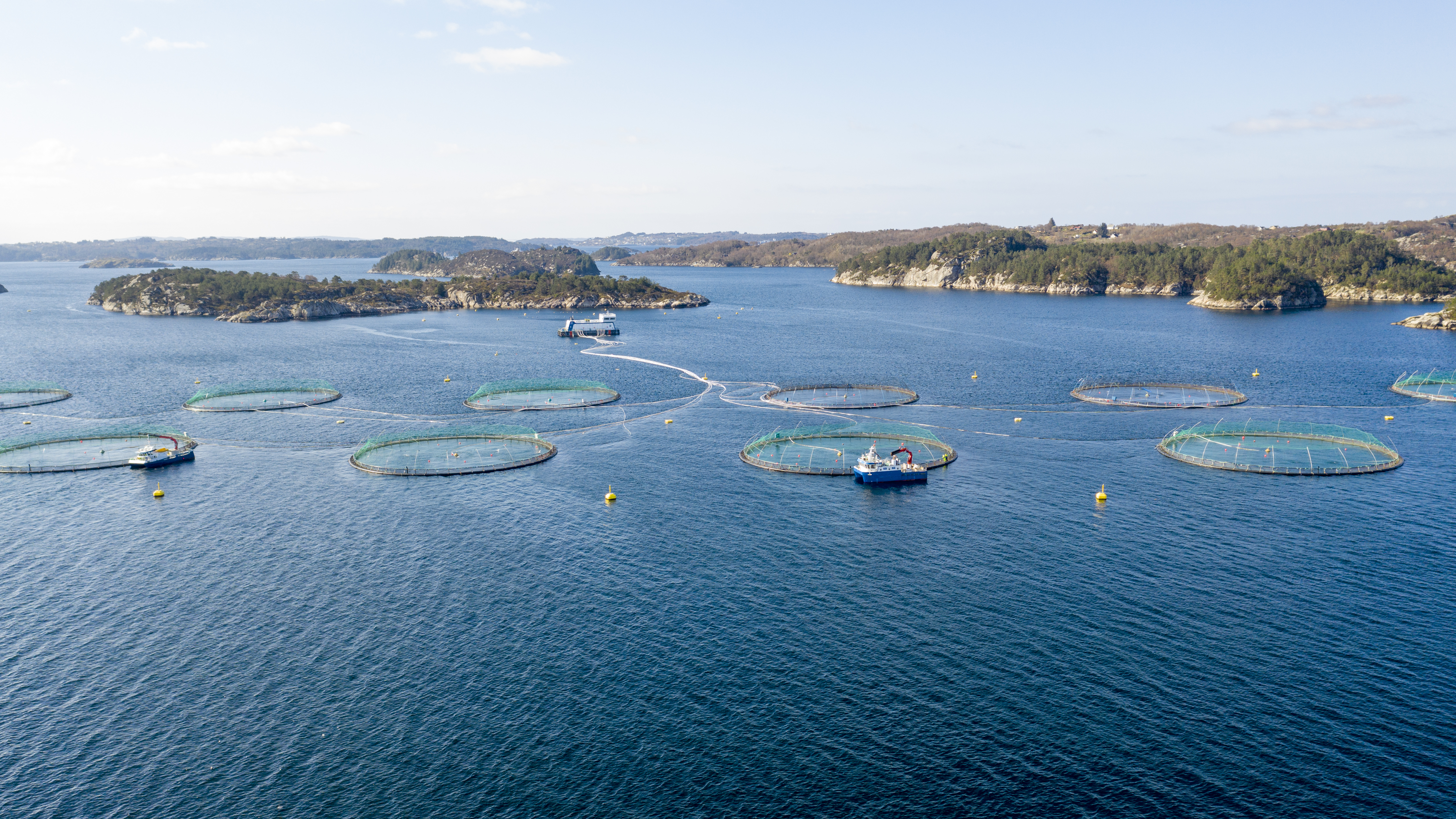 Instalación acuícola