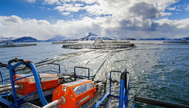 Merd i sjøen