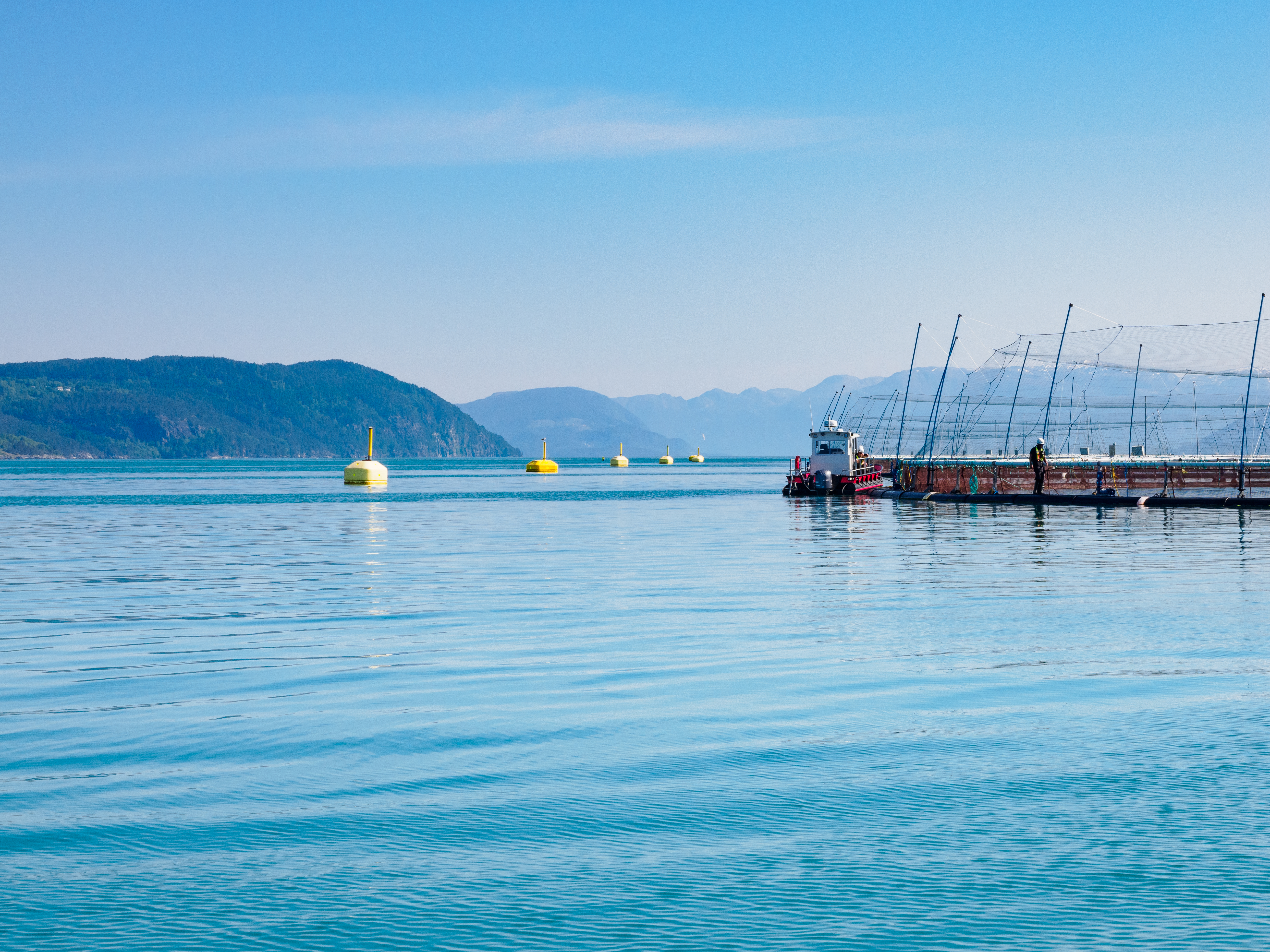 One of Lerøy's fish farms, this one in Uskedal.