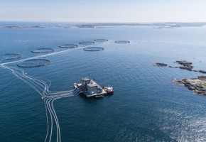Fish cages in the sea