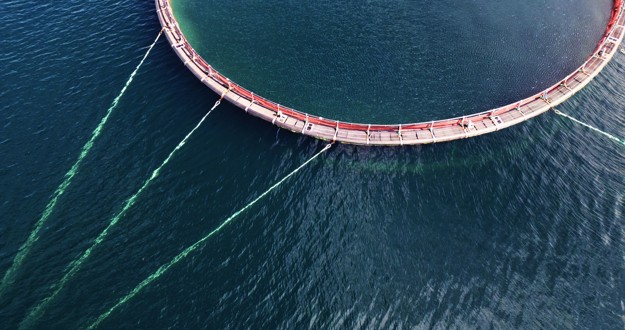 Fish cages in the sea
