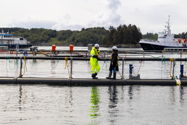 Two people standing at the edge of the fish cage.