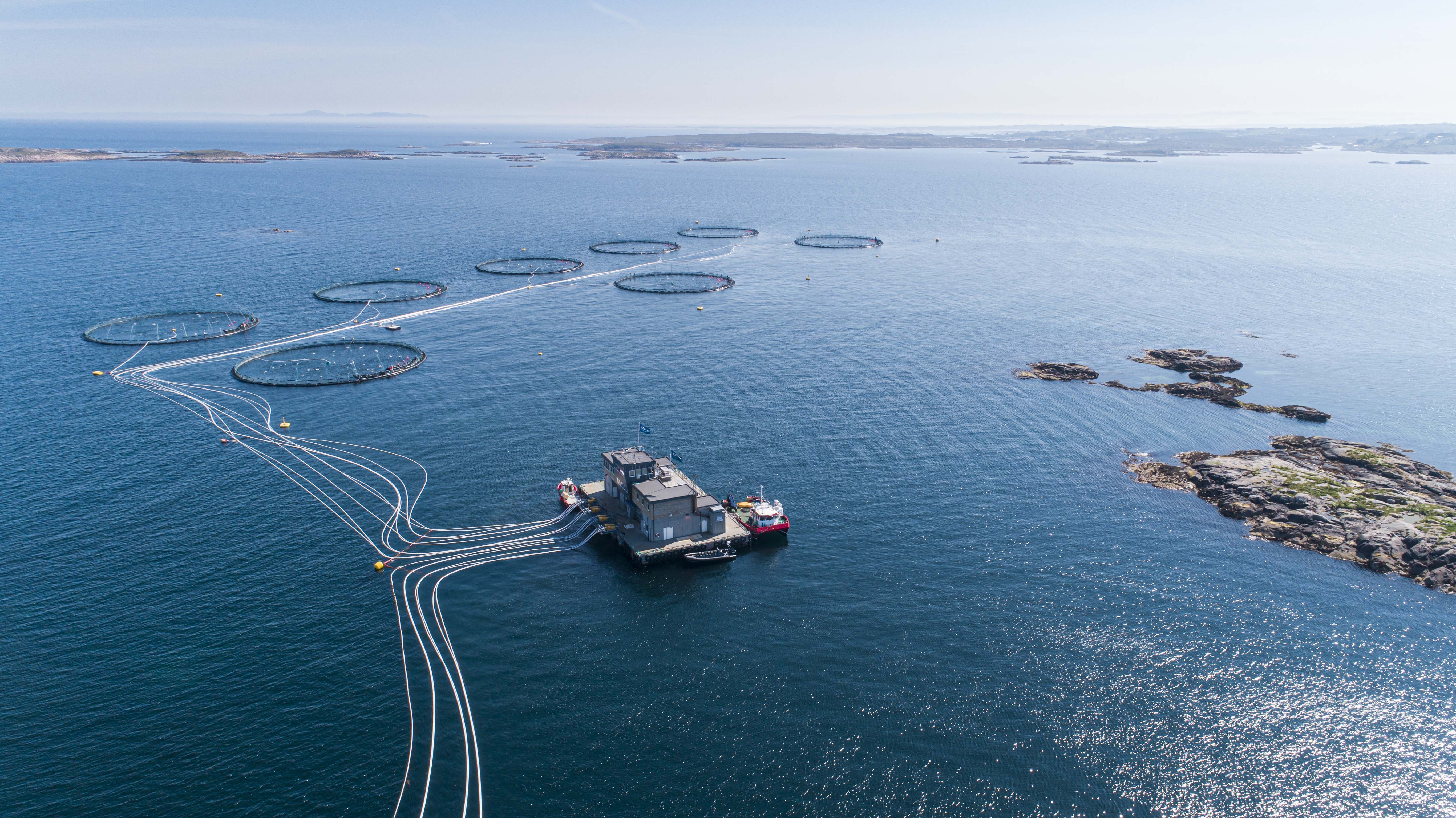 Fish cages at sea