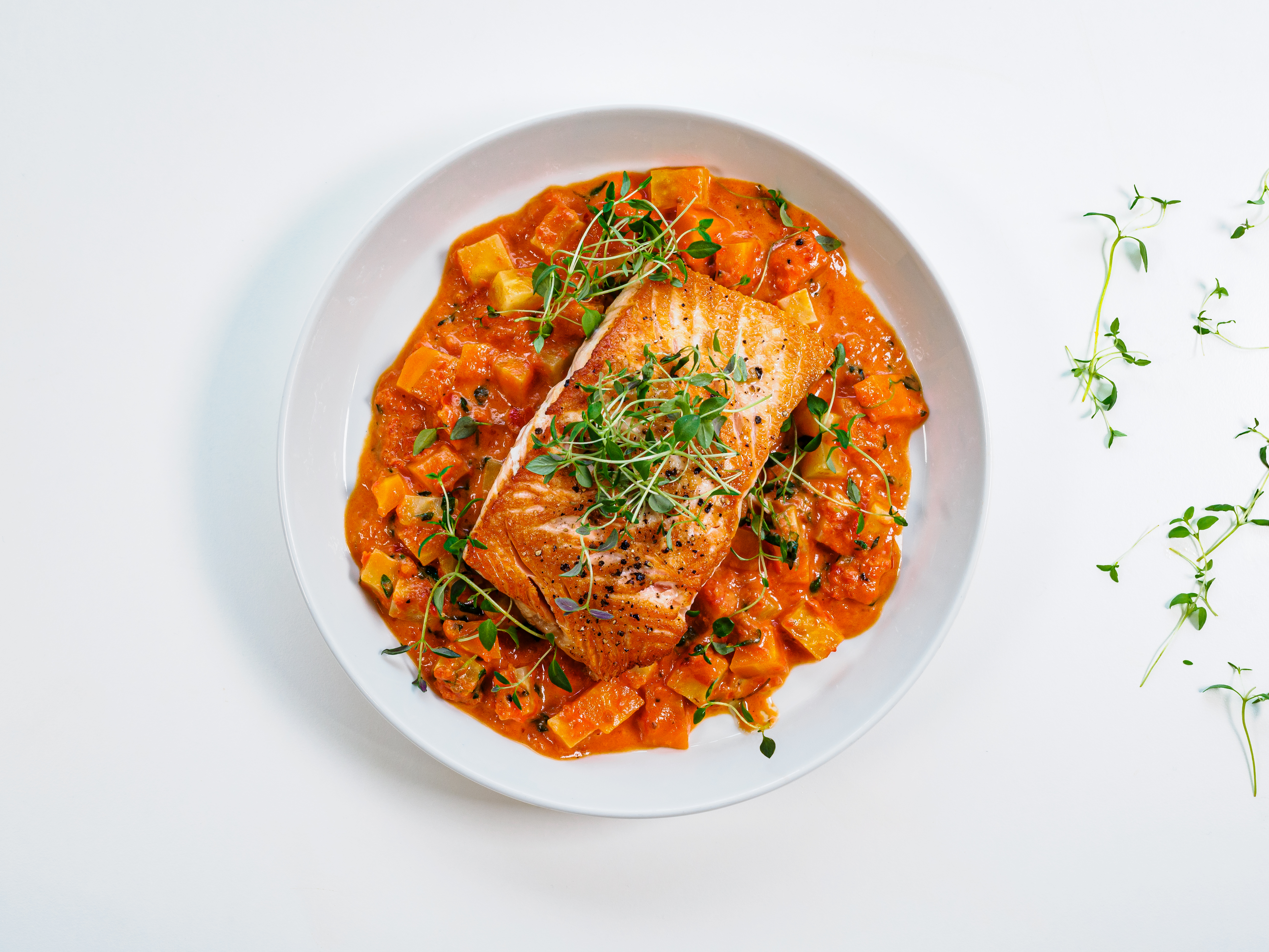 tallerken med pannestekt ørret med kremet tomat- og grønnsakssaus